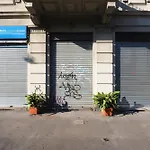Primopiano - Catalani
